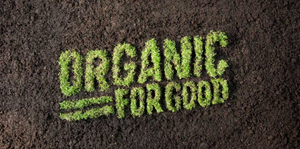 7 Reason You Should Use Organic Beauty Products