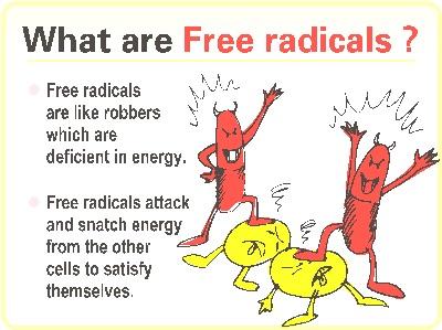 Free Radicals and Green Tea