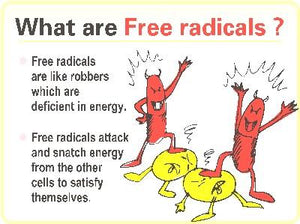 Free Radicals and Green Tea